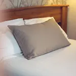 تيمهوتيل لو لوفر فندق باريس