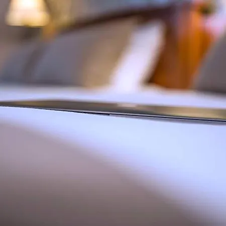 تيمهوتيل لو لوفر فندق