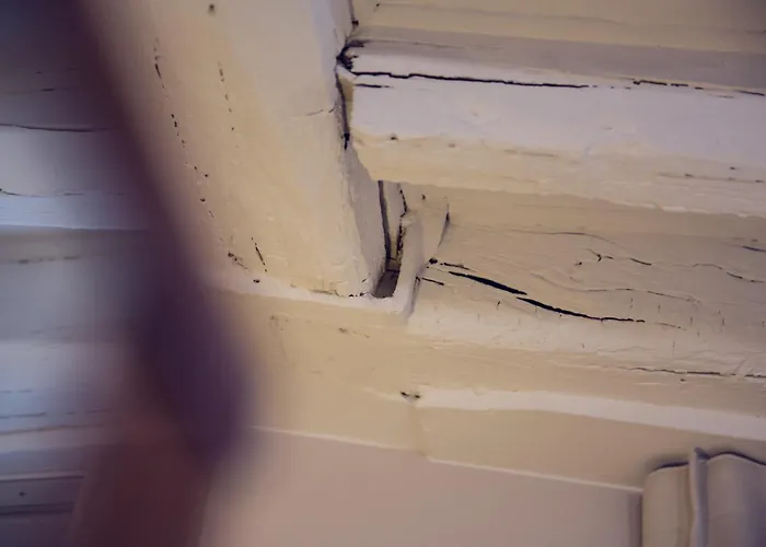 Timhotel Le Louvre Otel